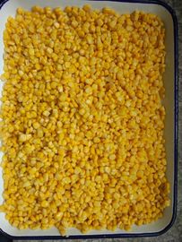 Natural Color Canned Yellow Corn for Country Markets