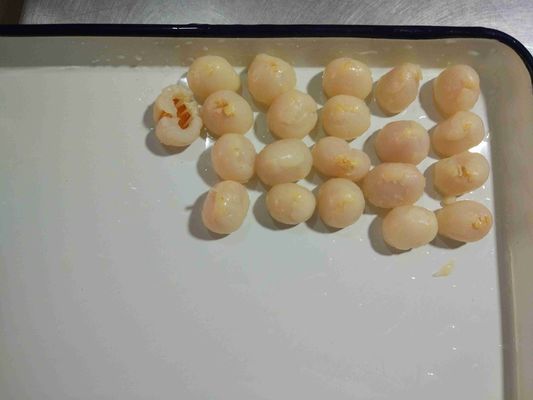 15 Unze süßen Bewahrung GMO-Bearbeitungs-Litschi-Dosenfrüchte mit Sirup